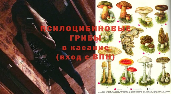 мдма Нефтекумск