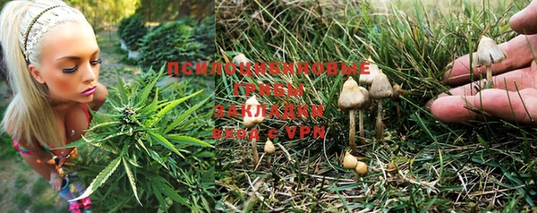 таблы Няндома